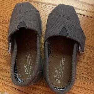 Baby grey Toms!